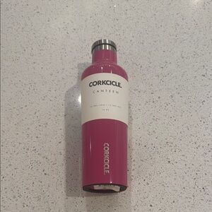 Corkcicle Pink Food Storage Container